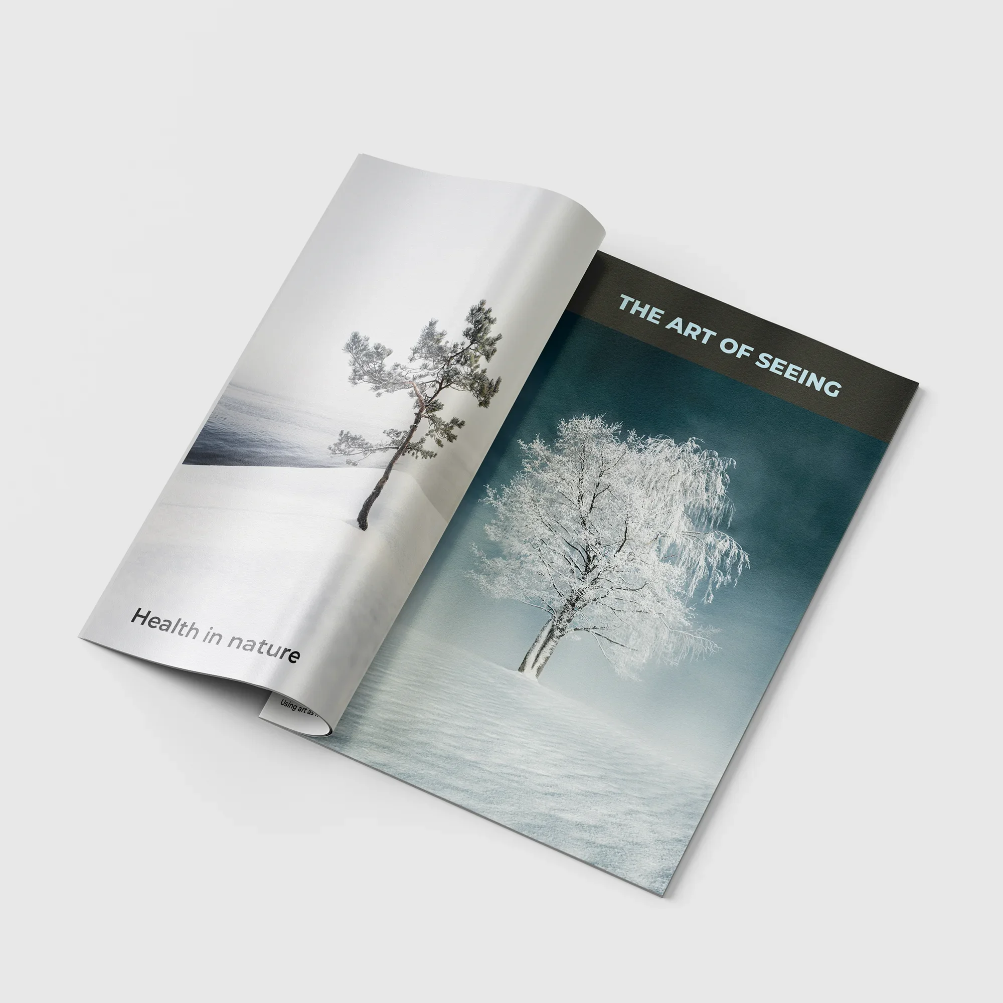 Magazine spread featuring Mikko Lagerstedt's photography.