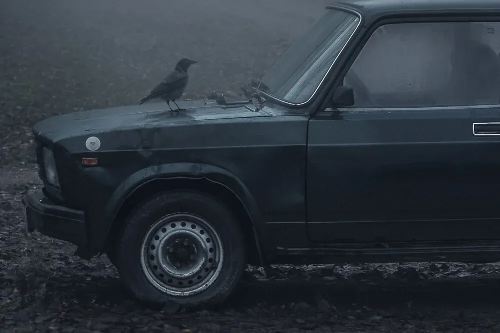 Dark Times II - Detail shot II