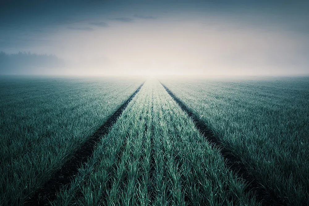 Mikko Lagerstedt - Infinity - 2013