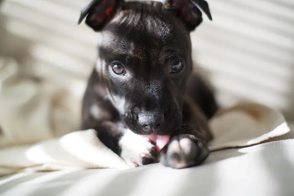 1674498542743 7BAZ24JYKZE3ADD3N68L image asset