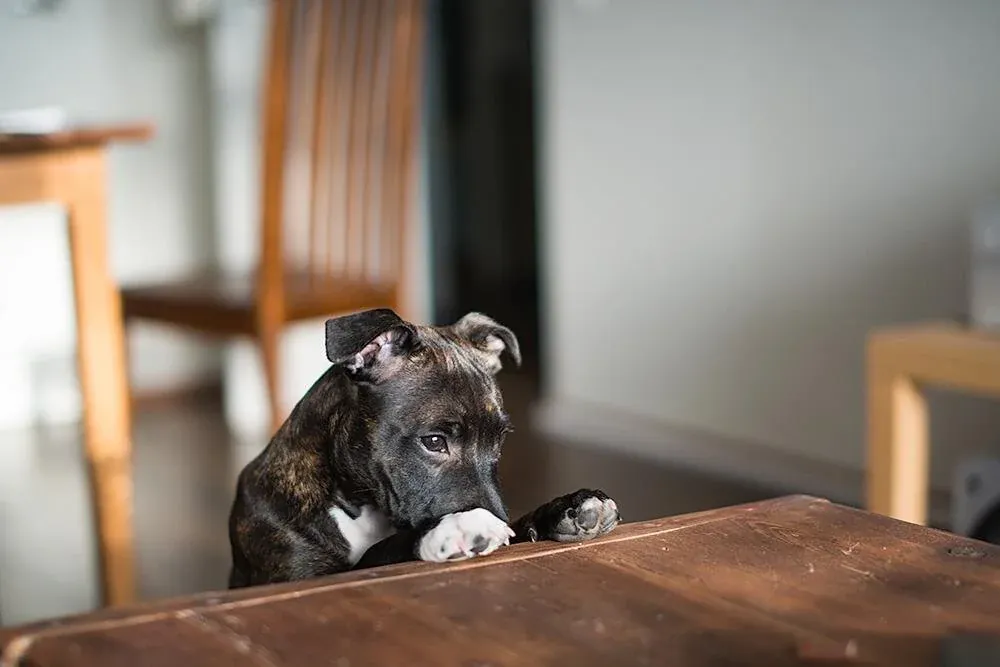 1674498544142 KK4YDGL992XCNJWANFK4 image asset