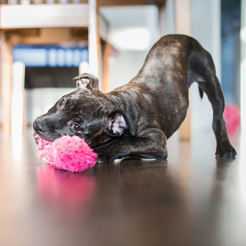 1674498546198 LM3DJ7HTMTIHC8V5DRH4 image asset