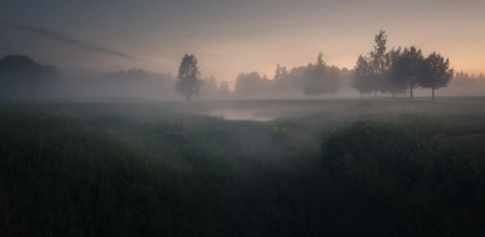 1674498509103 AWTMUU7HQVENLJ9OTDEG image asset