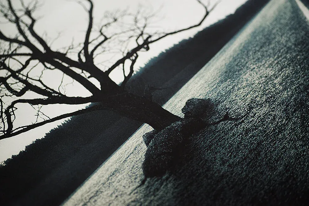 1674498465509 D5WYYVDSCLNTS8ZDUT6B image asset