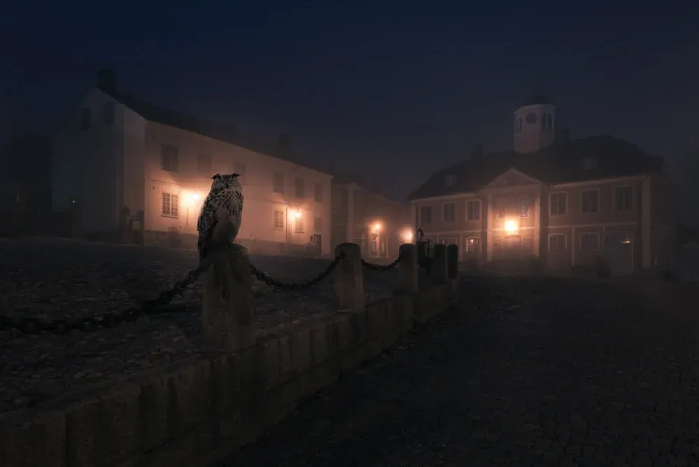 Mikko Lagerstedt - Night Animals - Owl