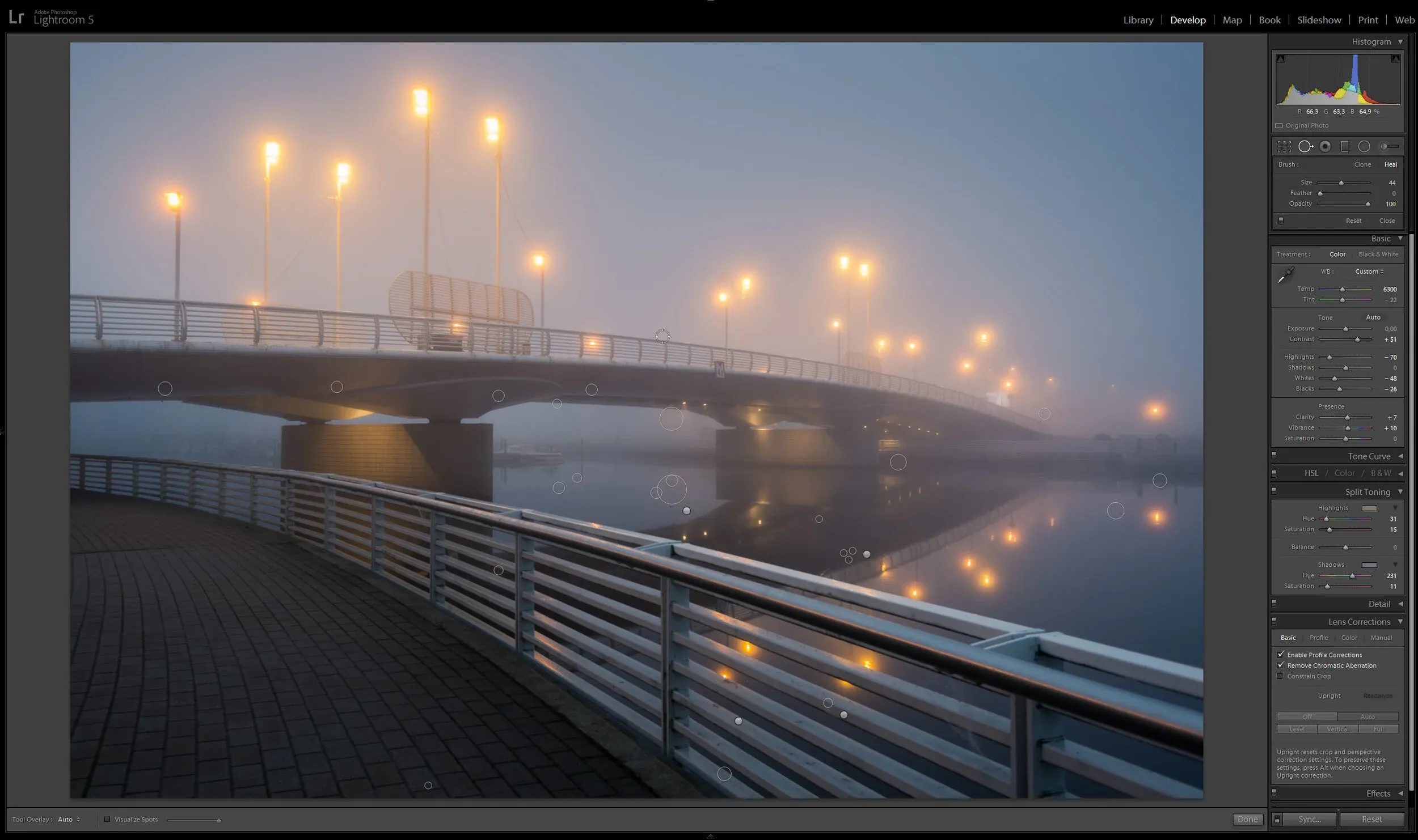 Hit Q for Spot Removal tool. It's easy way to get rid of the distracting elements.