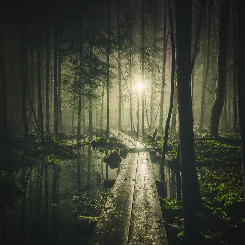 Mikko Lagerstedt - Pathway - 2014, Tuusula, Finland