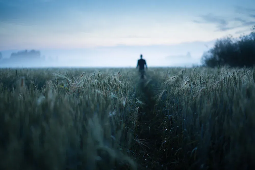 Mikko Lagerstedt - Path - 2014, Kerava, Finland