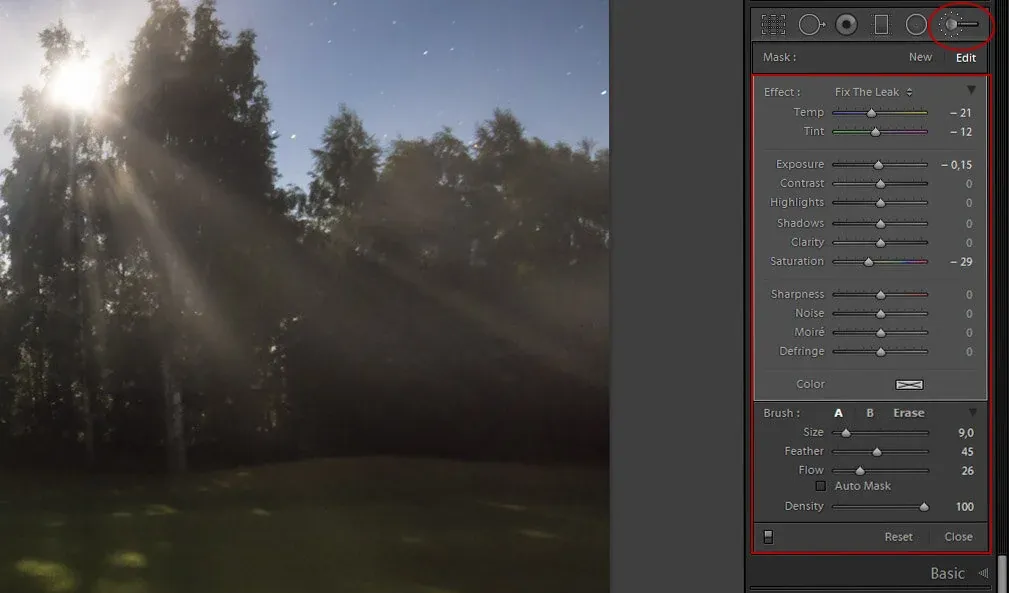 Select the Adjustment Brush to Fix The Light Leak