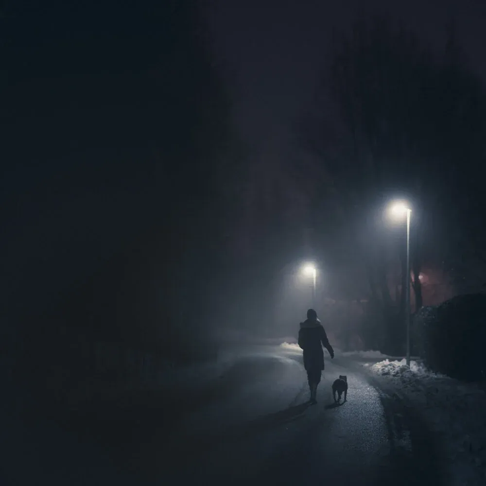 Night Walk