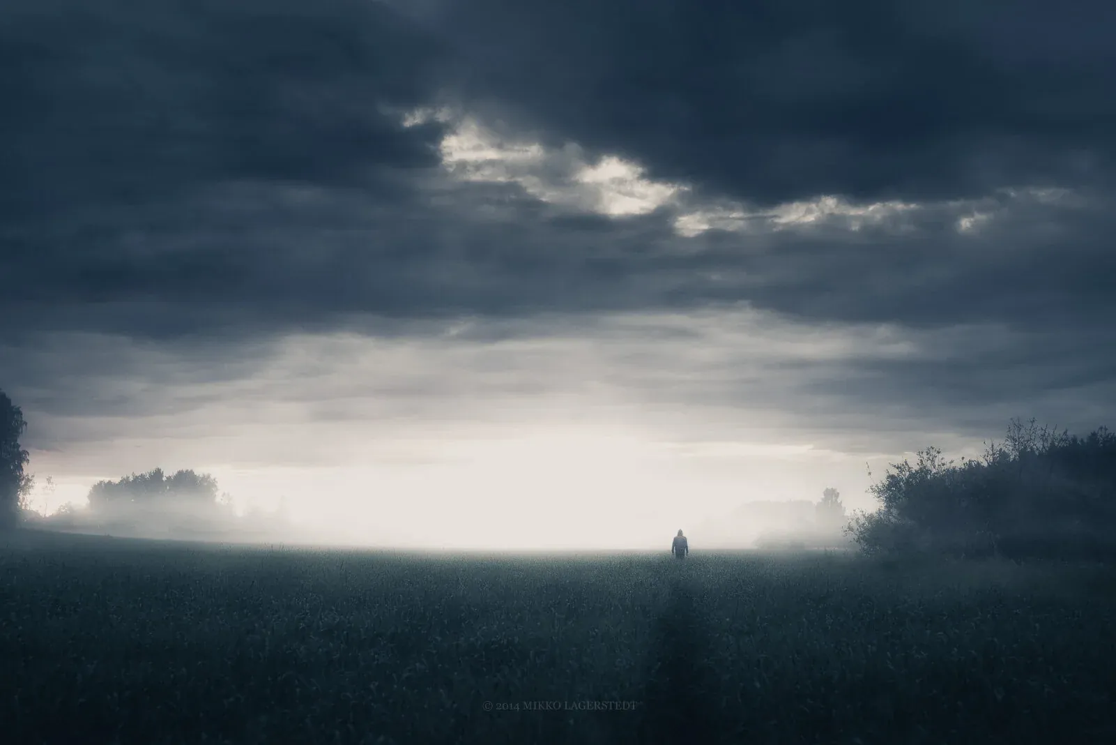 In the Silence II - Mikko Lagerstedt - 2014