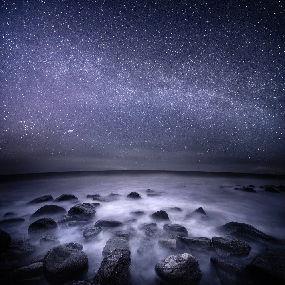 Artwork Collected to US Embassy