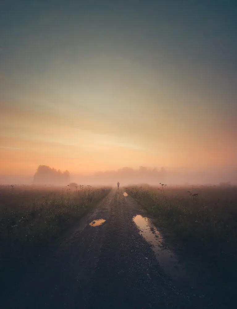 Summer Morning Dream