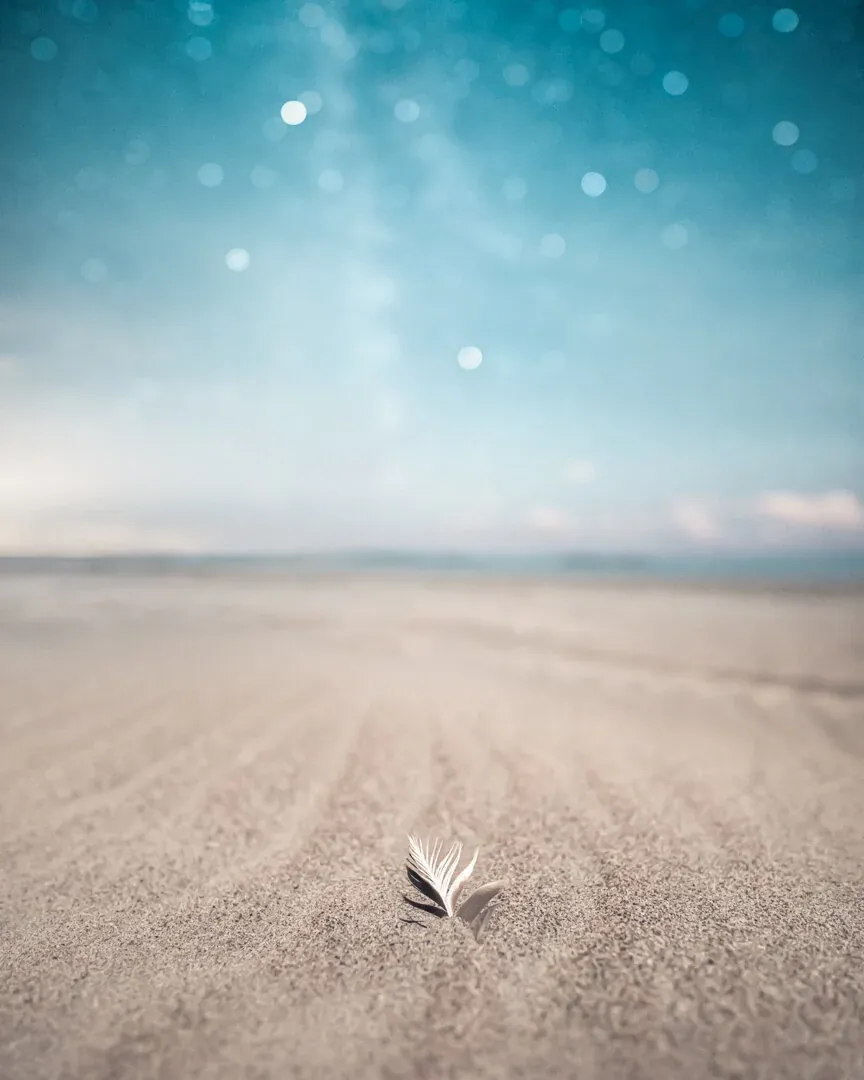 Mikko Lagerstedt - Feather - Yyteri, Finland - 2017