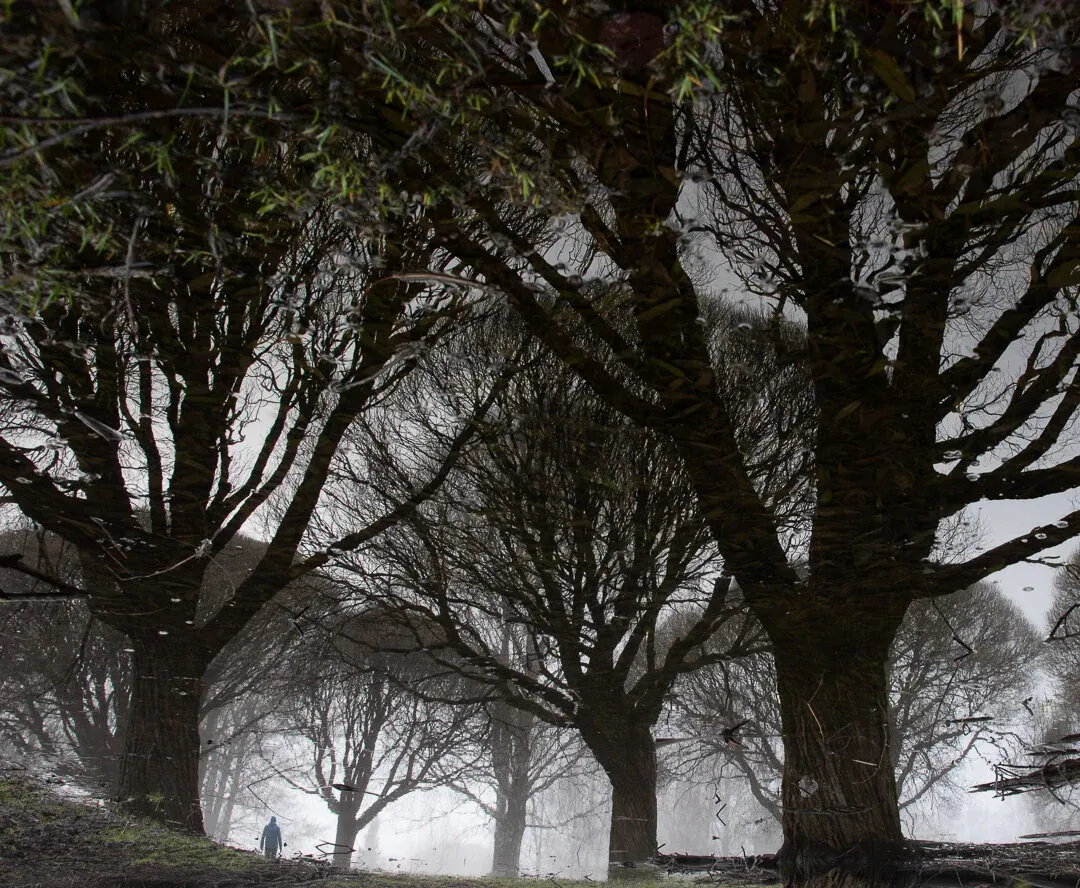 1674497380057 EBDM2F7URA5VPB0WYZFZ image asset