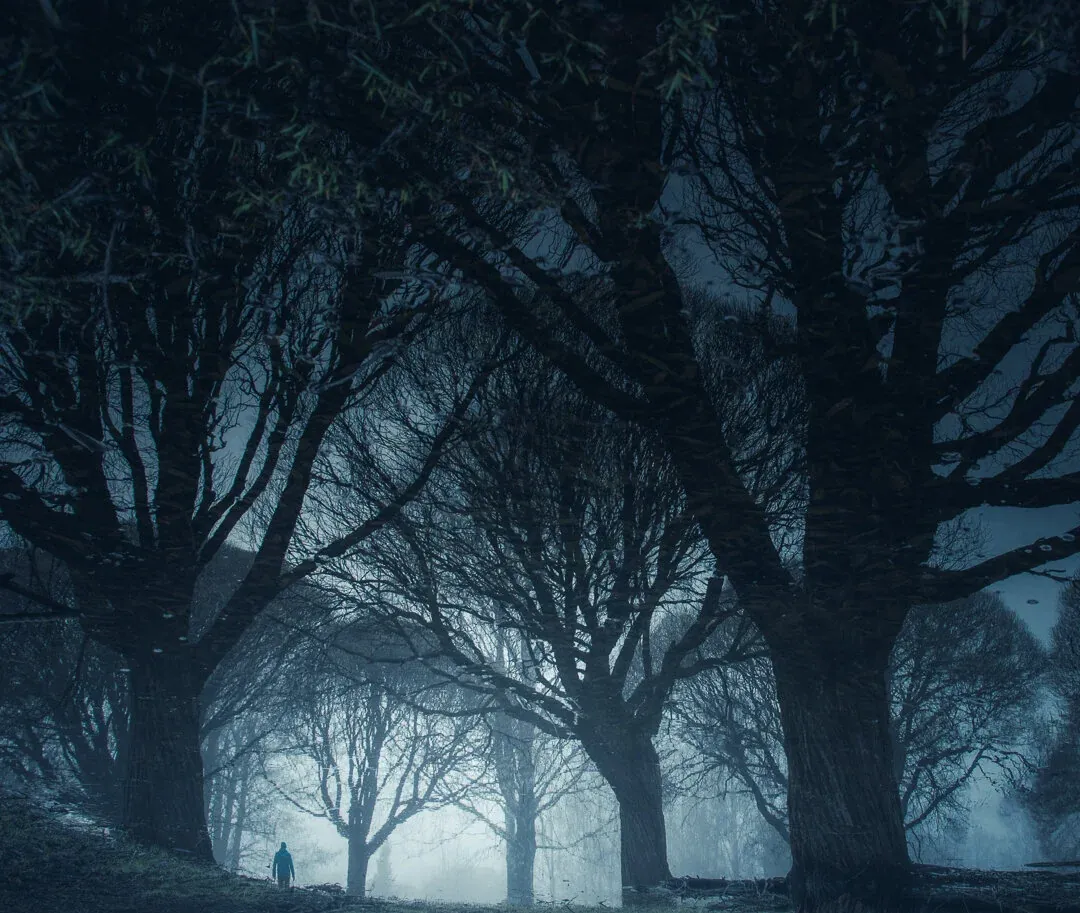 1674497384053 3NID7XRILR59P1OSPJAQ image asset