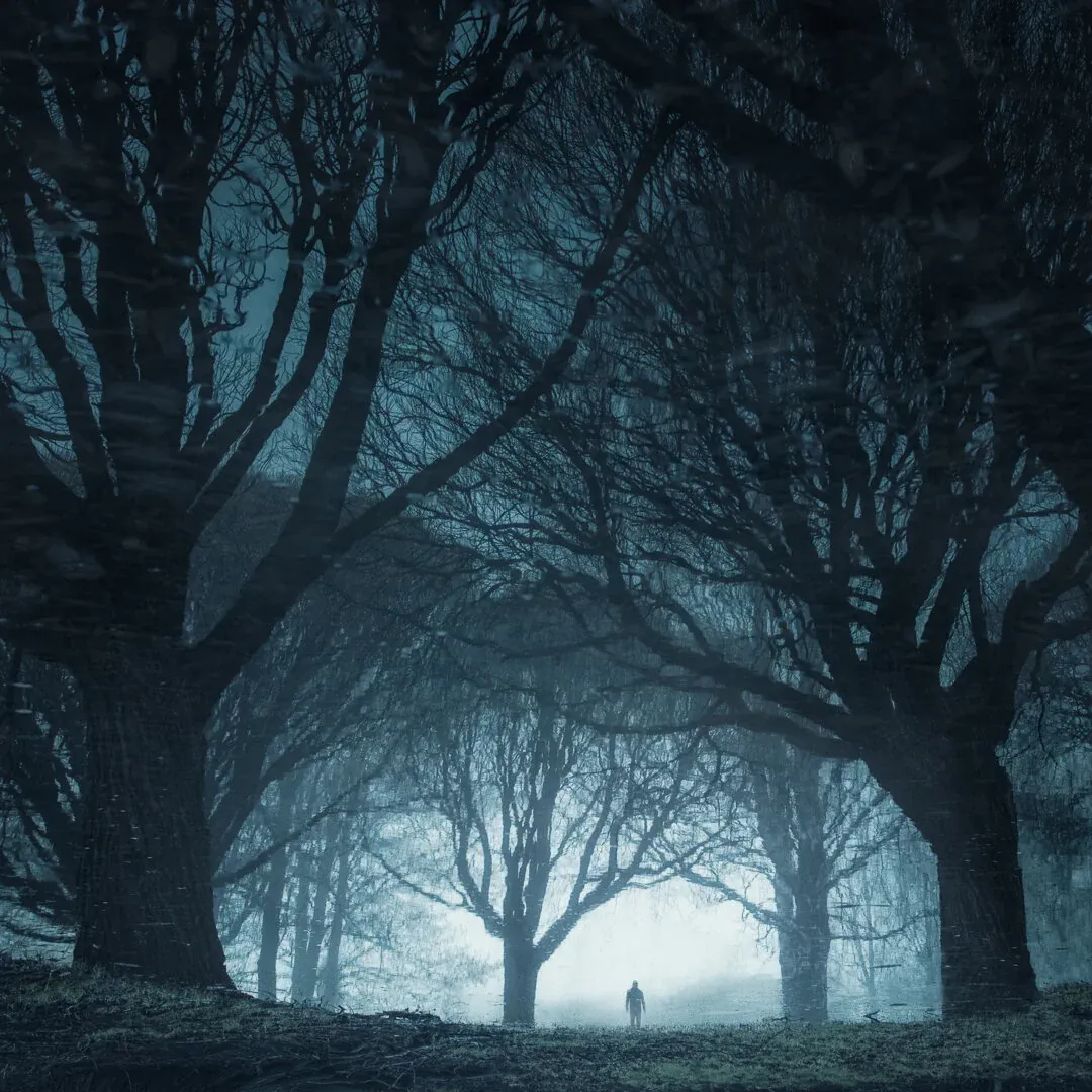 The Other Side - Mikko Lagerstedt - 2018, Finland