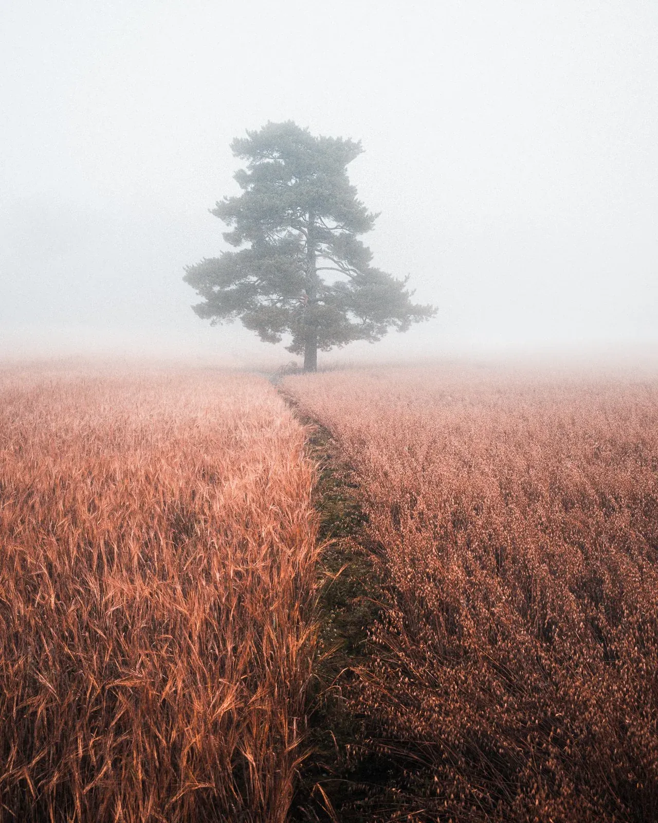 Mikko Lagerstedt – Somewhere, 2023Nikon Z8, Nikkor 24-70 mm f/2.8 & RRS TripodISO 64, 35 mm, f/9.0, 0.6 sec. – EPIC Preset Cinematic: Big