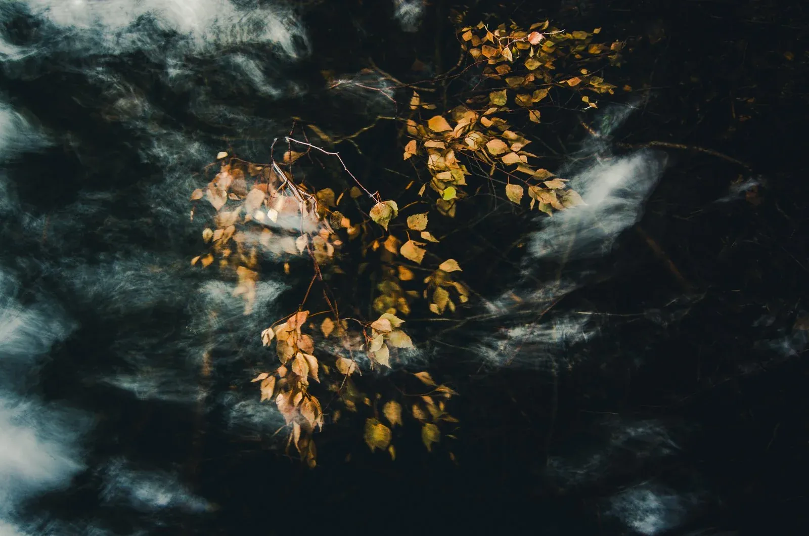 5 Tips to Capture Beautiful Photographs Nearby