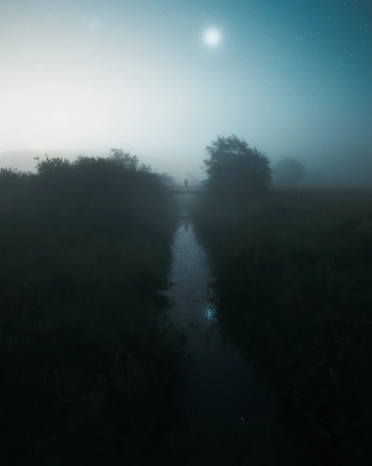 5 Tips to Capture Beautiful Photographs Nearby
