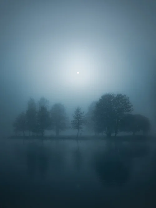 In Silence