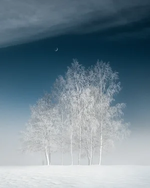 Cold Mist