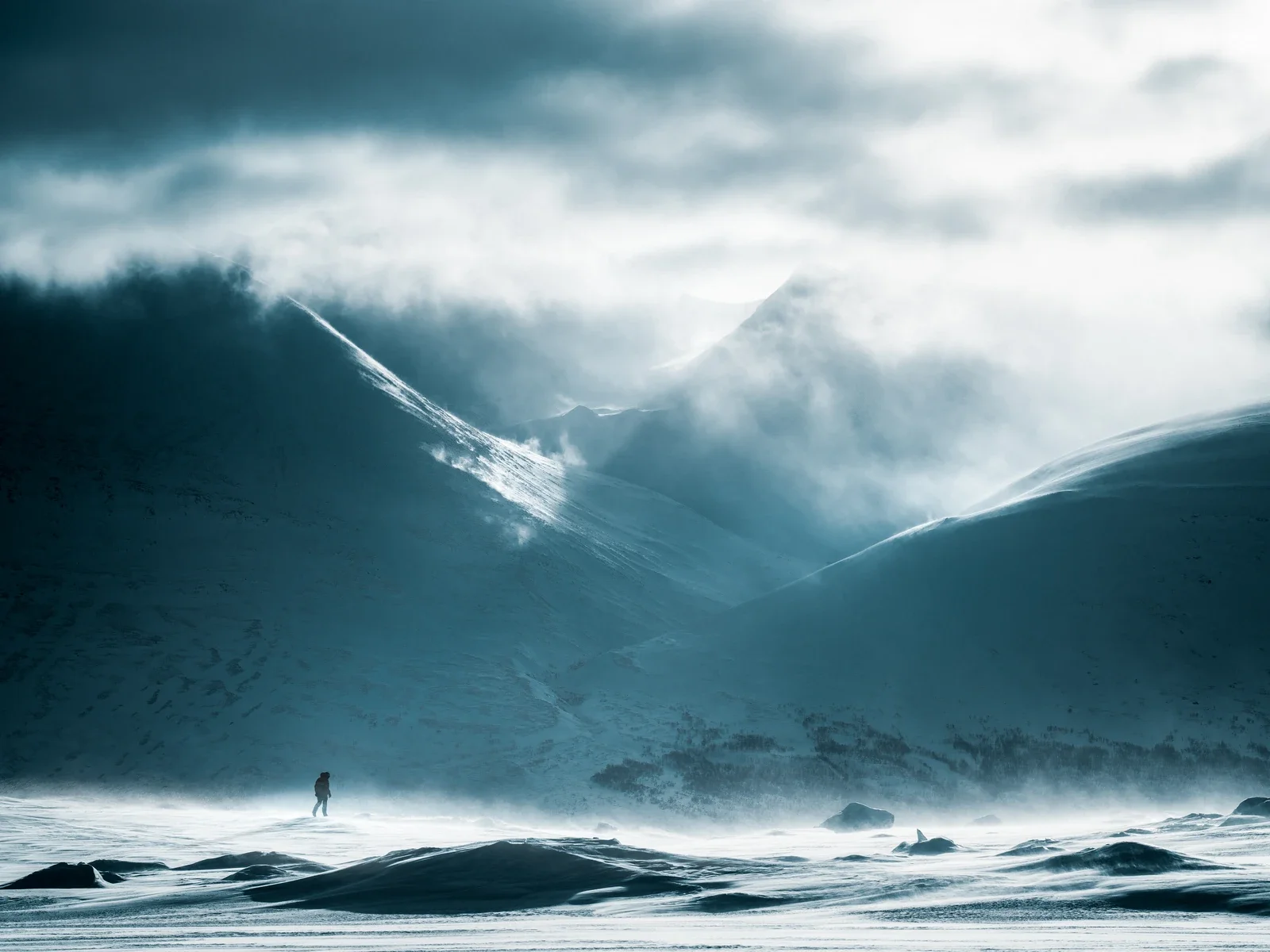 By leaning into cool tones, the image communicates the physical sensation of cold.