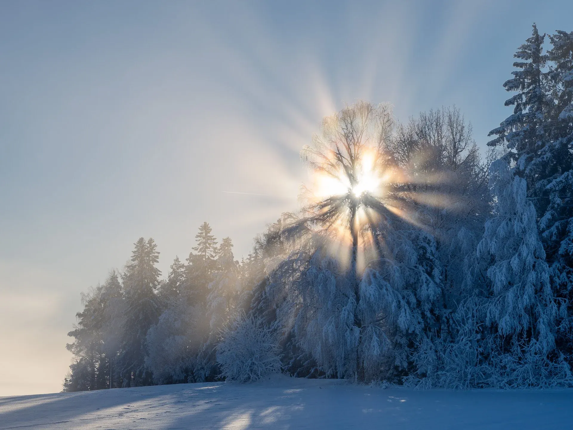 A small amount of warm light creates a focal point and balances the cool shadows.