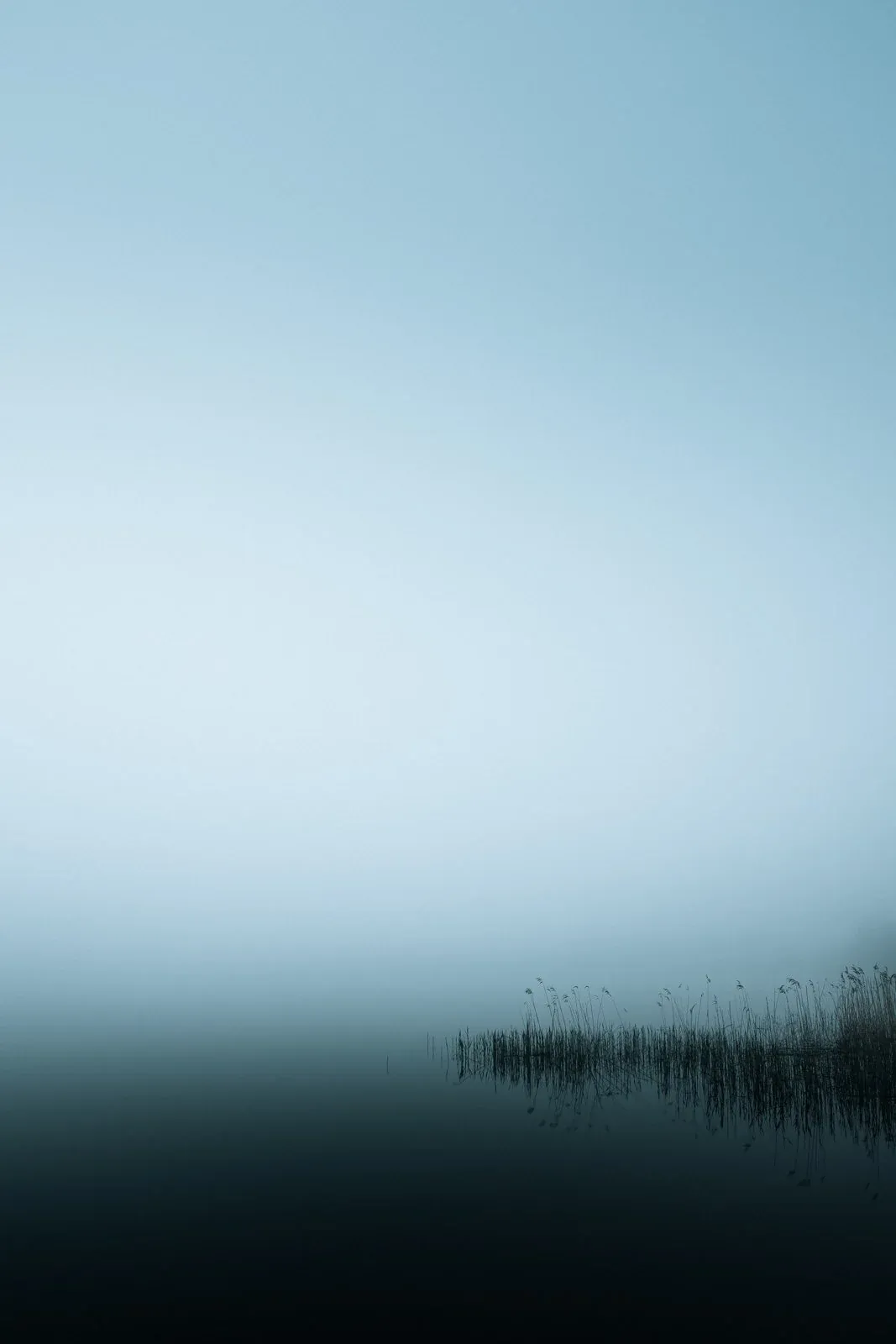 1674496843791 L5CCJM52Z85LFU8QFBQC image asset