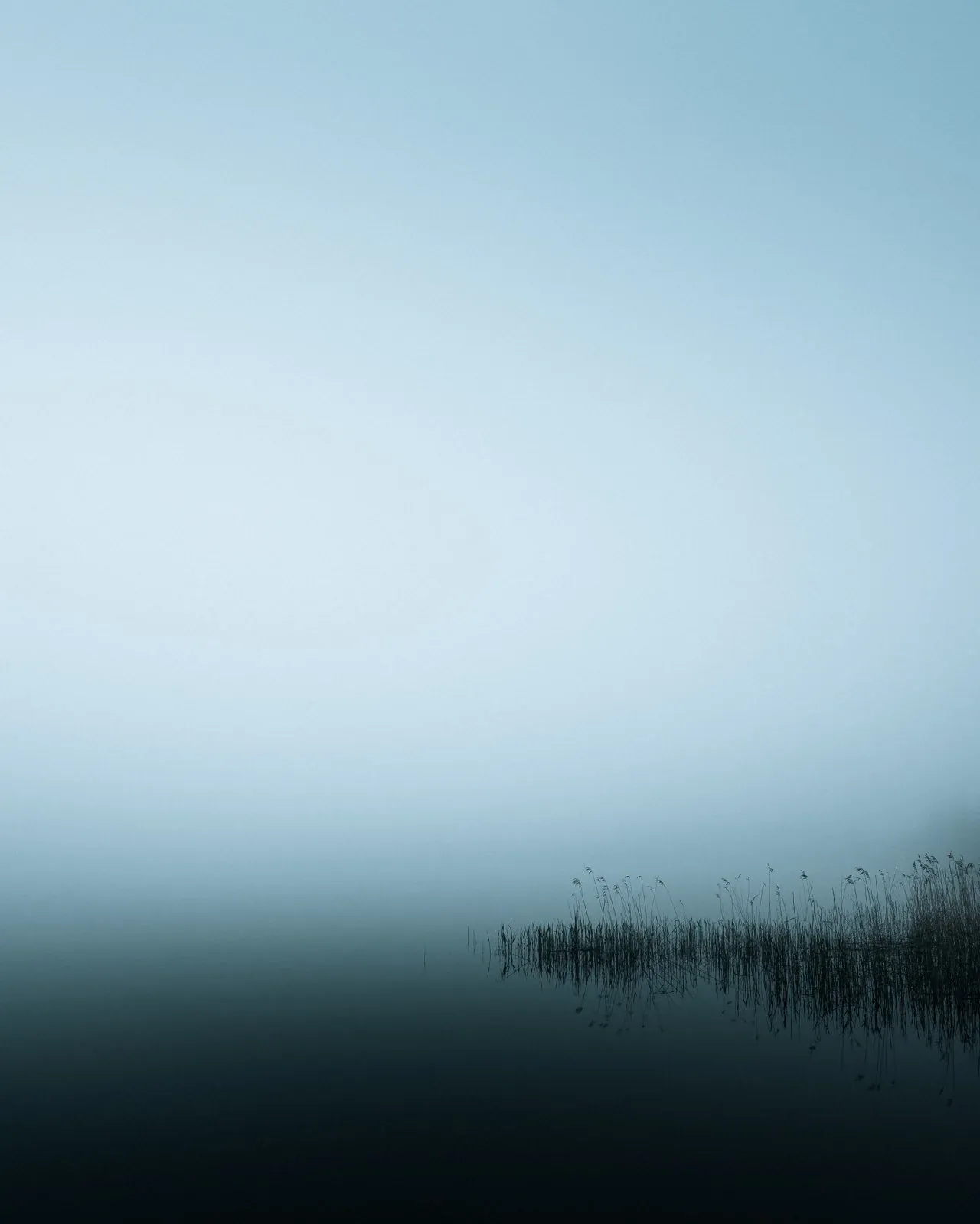 1674496856988 I2Z1MKOQTNBW6DWEE9C9 image asset