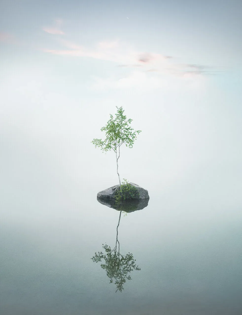 Fragile – Mikko Lagerstedt