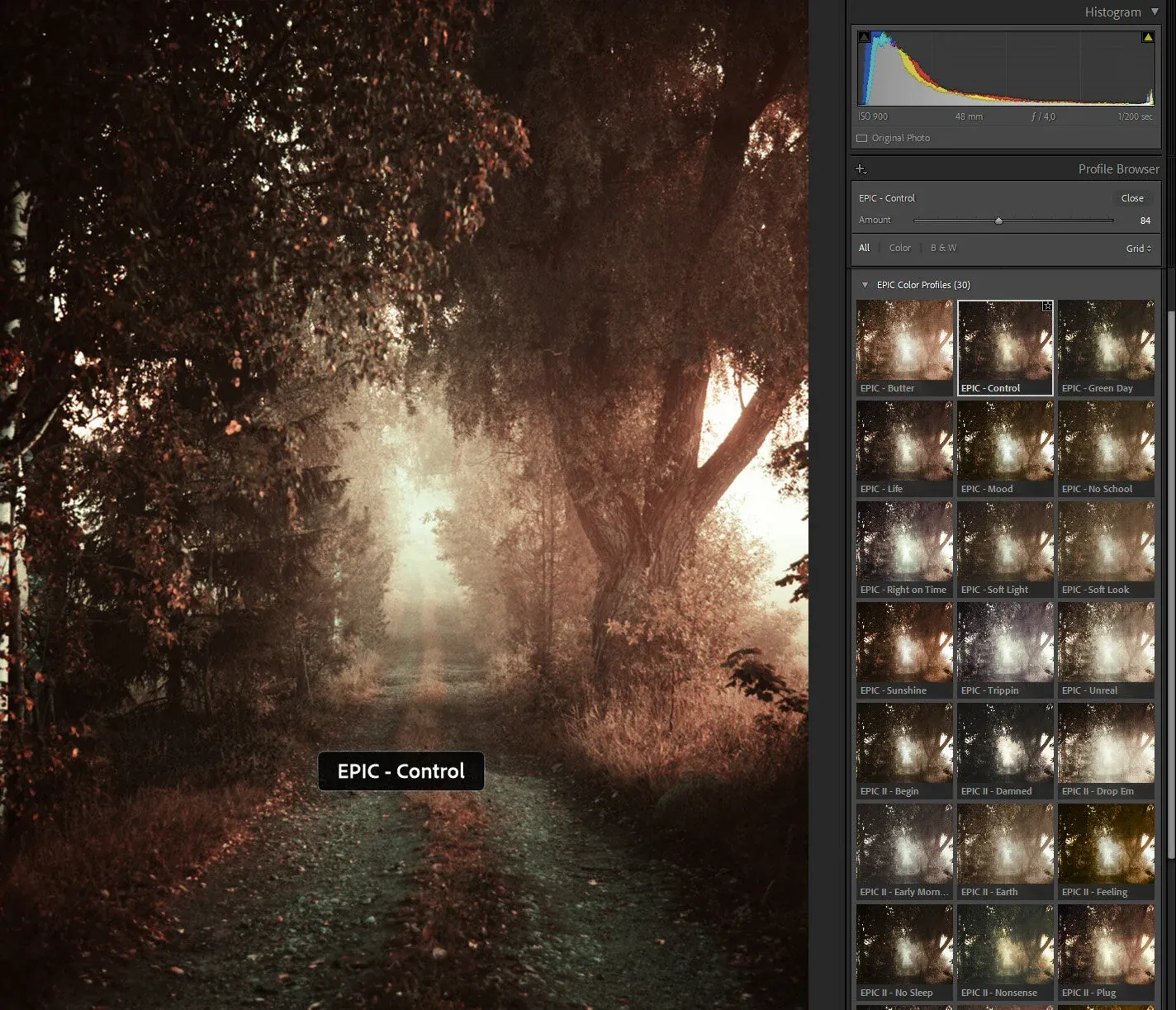 1674497060872 Y7ZO3W3DLSIRM1GW87H0 image asset