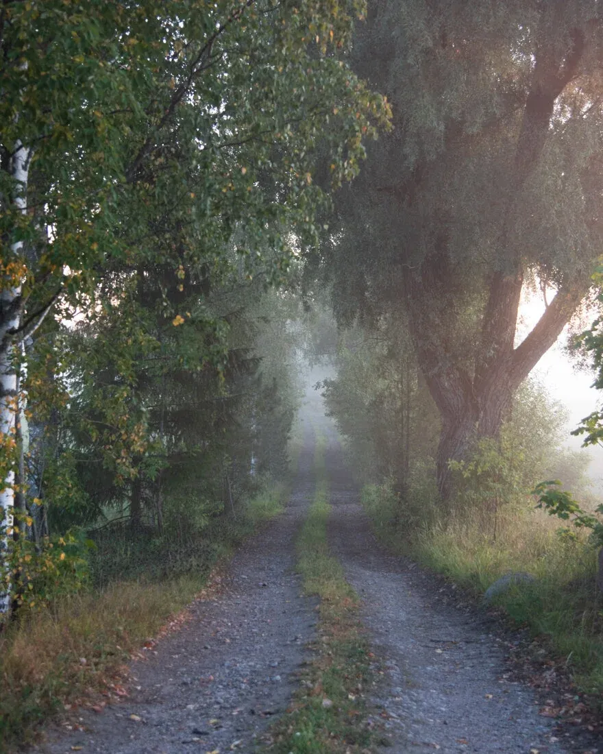 1674497063636 QF264E7S2ZDPXMP66I16 image asset