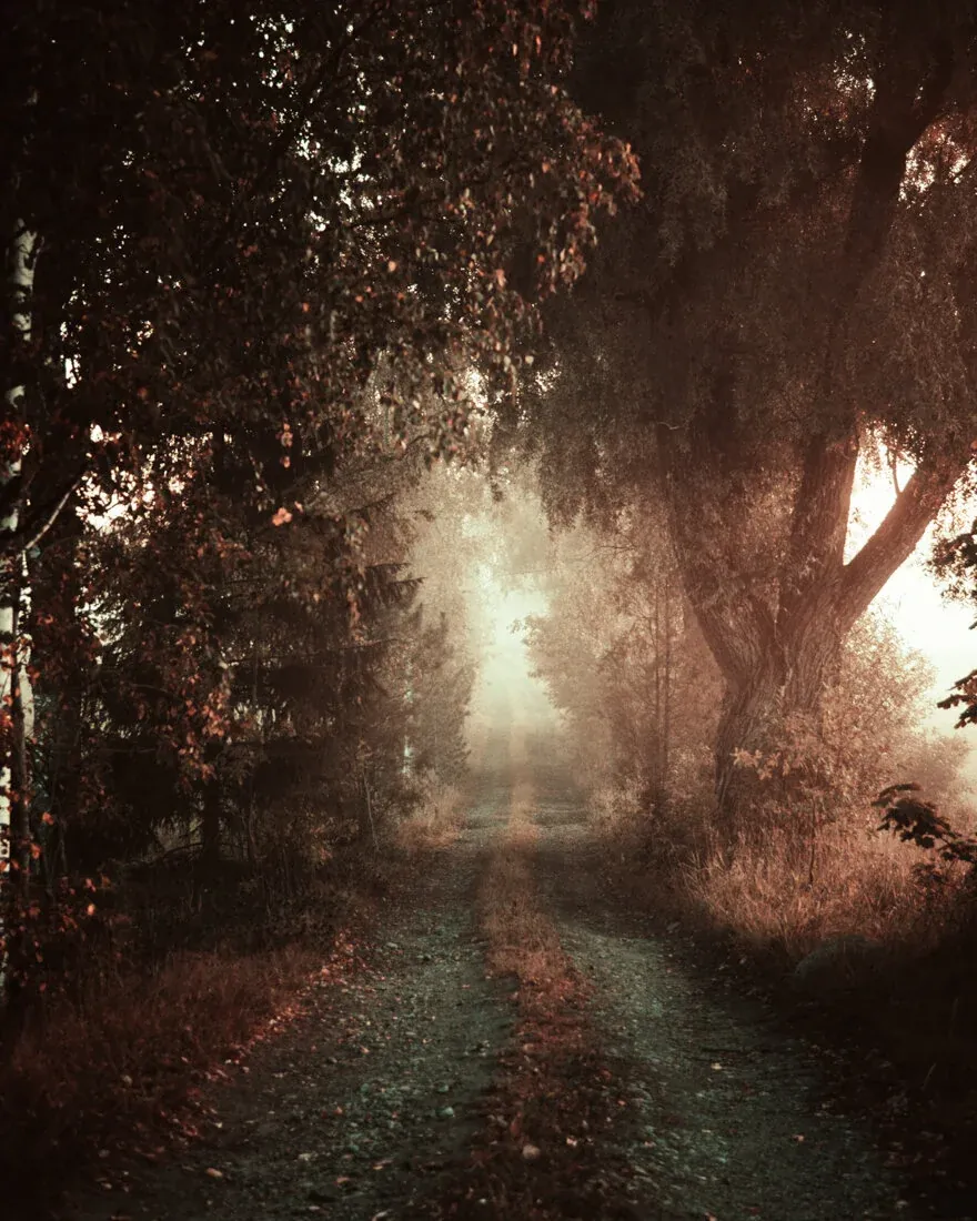 1674497065942 9O2FZ1VPHPDXU4RD4W3F image asset