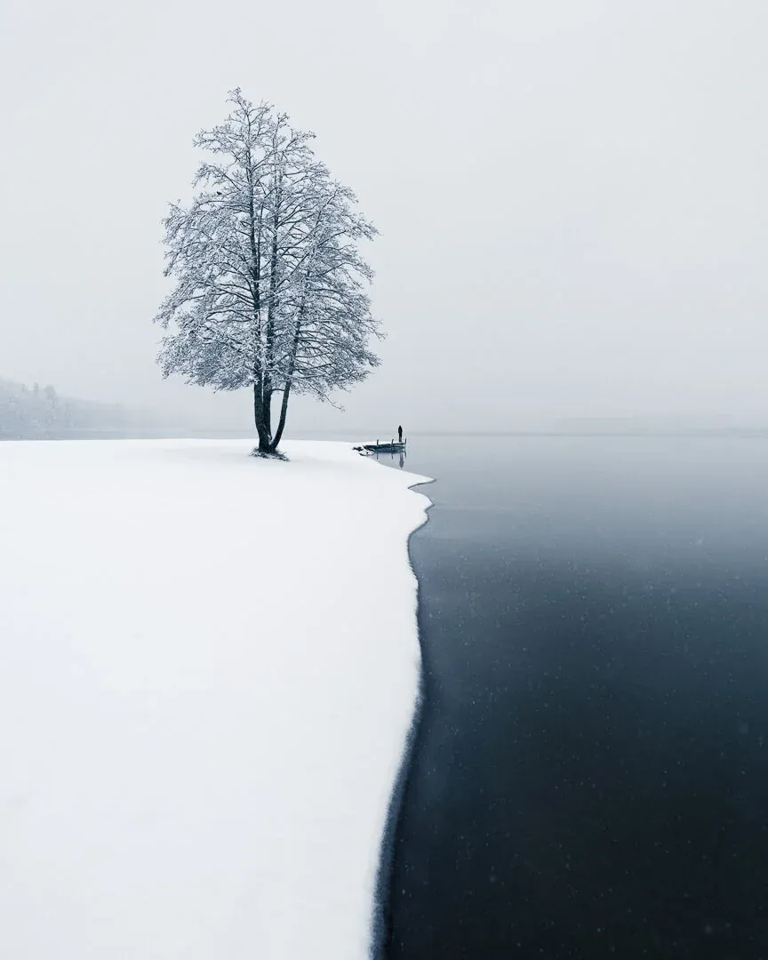 Mikko Lagerstedt – First Snow – 2018