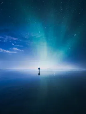 In the Solitude of Nature Exhibition in Helsinki shopping center REDI: 1st of August – 30th of September