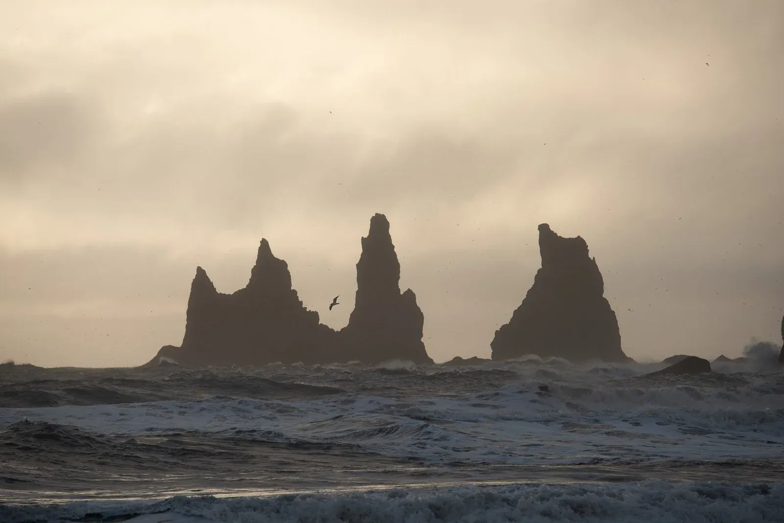 The unedited RAW file. The light is flat and the mood is almost entirely gone.