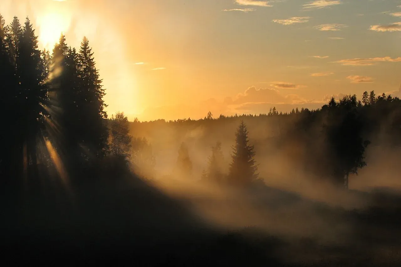 My first nature photograph captured with point-and-shoot camera in 2007.