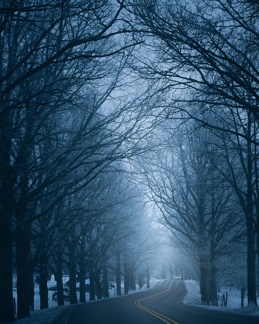 Nikon Z7, Nikkor S 24-70 mm f/4.0 @ ISO 100, 70 mm, f/4.0, 1/100 sec.