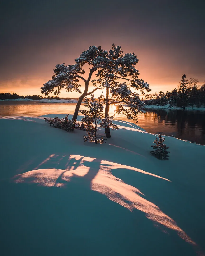 Nikon Z7, Nikkor S 24-70 mm f/4.0 @ ISO 100, 24 mm, f/9.0, 1/160 sec.