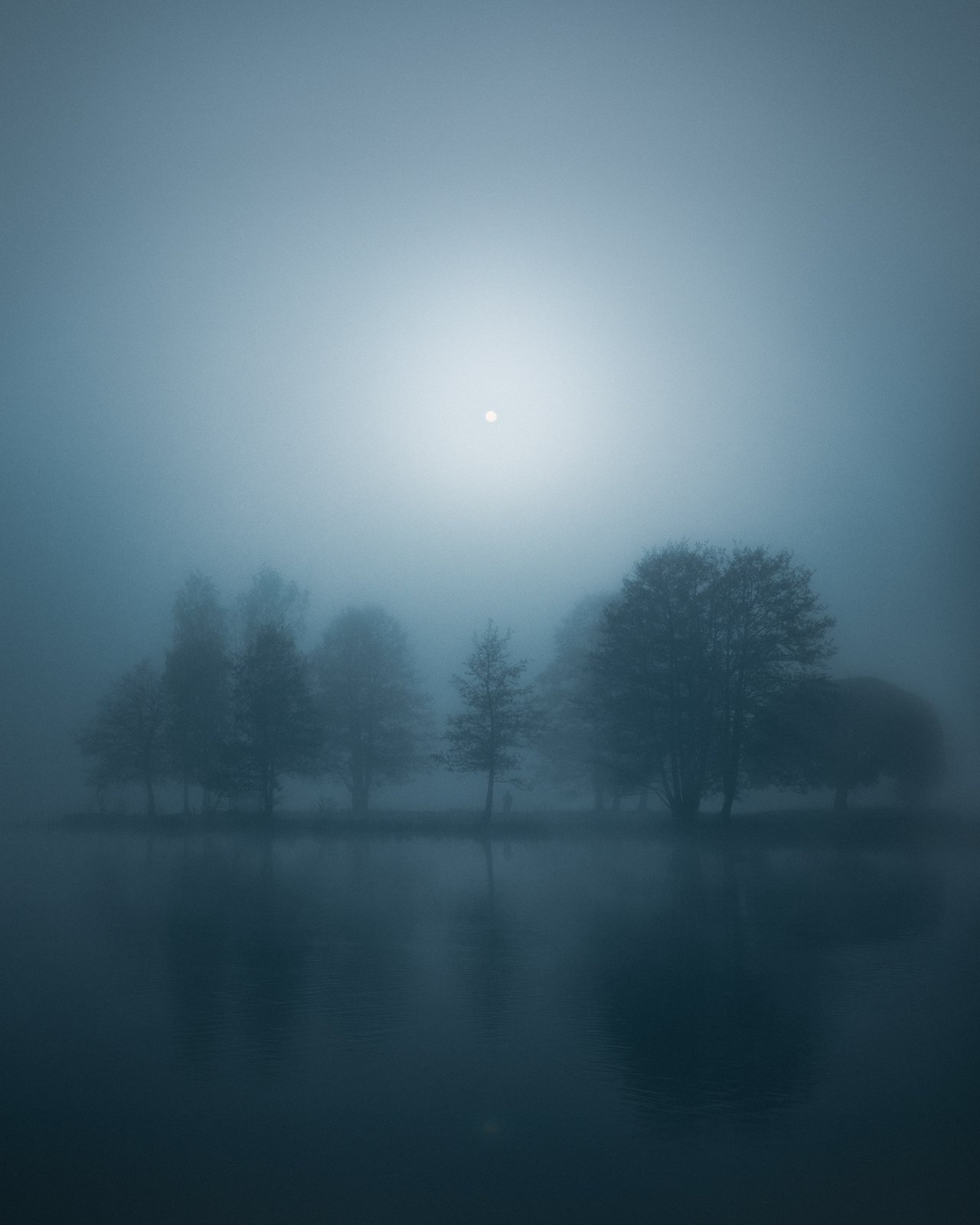 Photography Challenge: A Journey of Discovery with Mikko