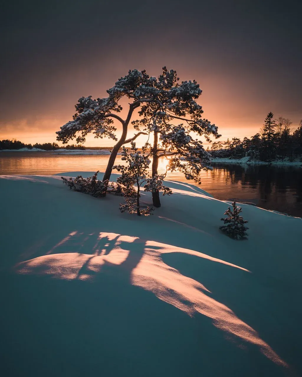 1674497003263 3PXG3DBG0L1I6Z8M5TJP image asset