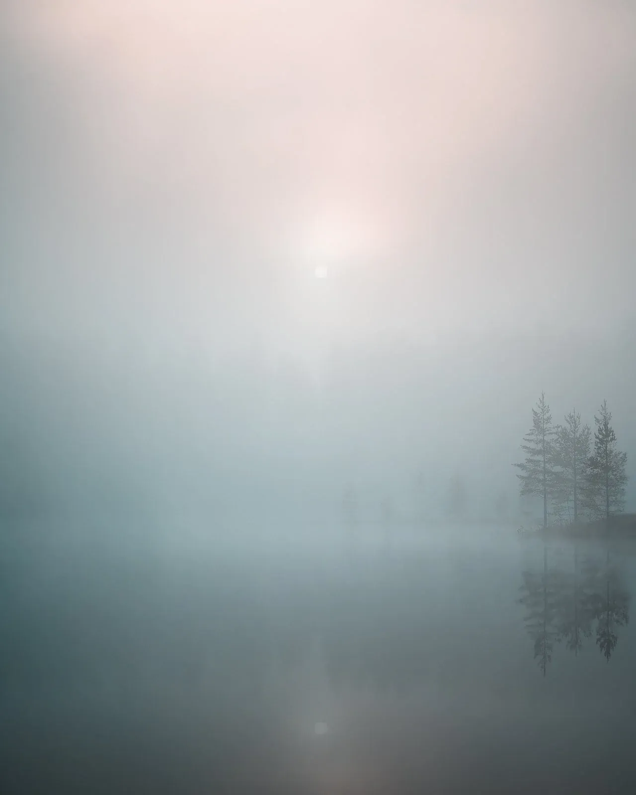 1674497004736 L6OL0J98621880W593BT image asset