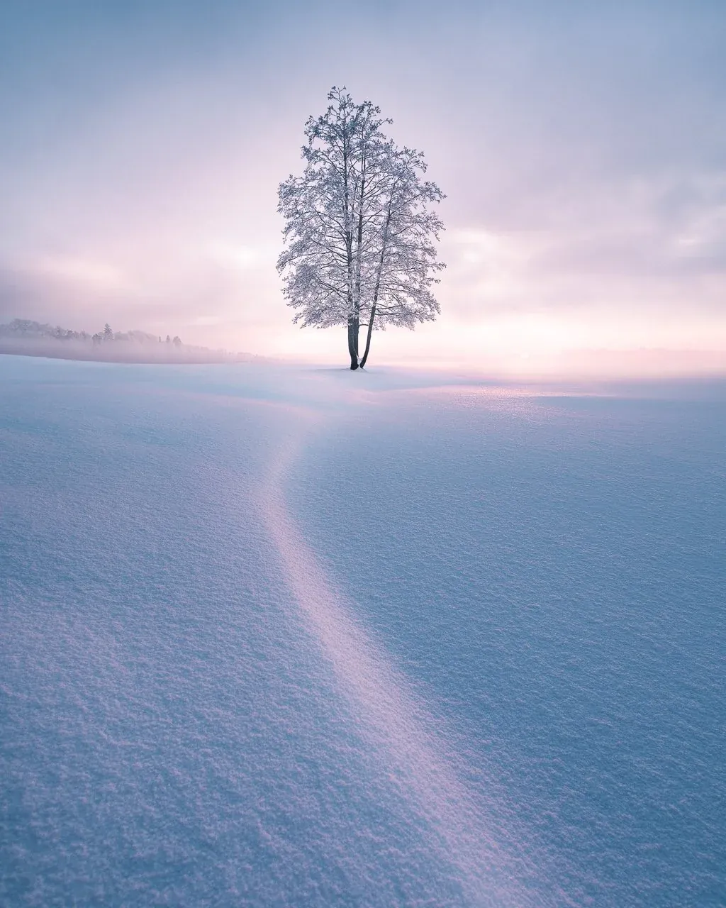 Leading lines can give your image a sense of depth.