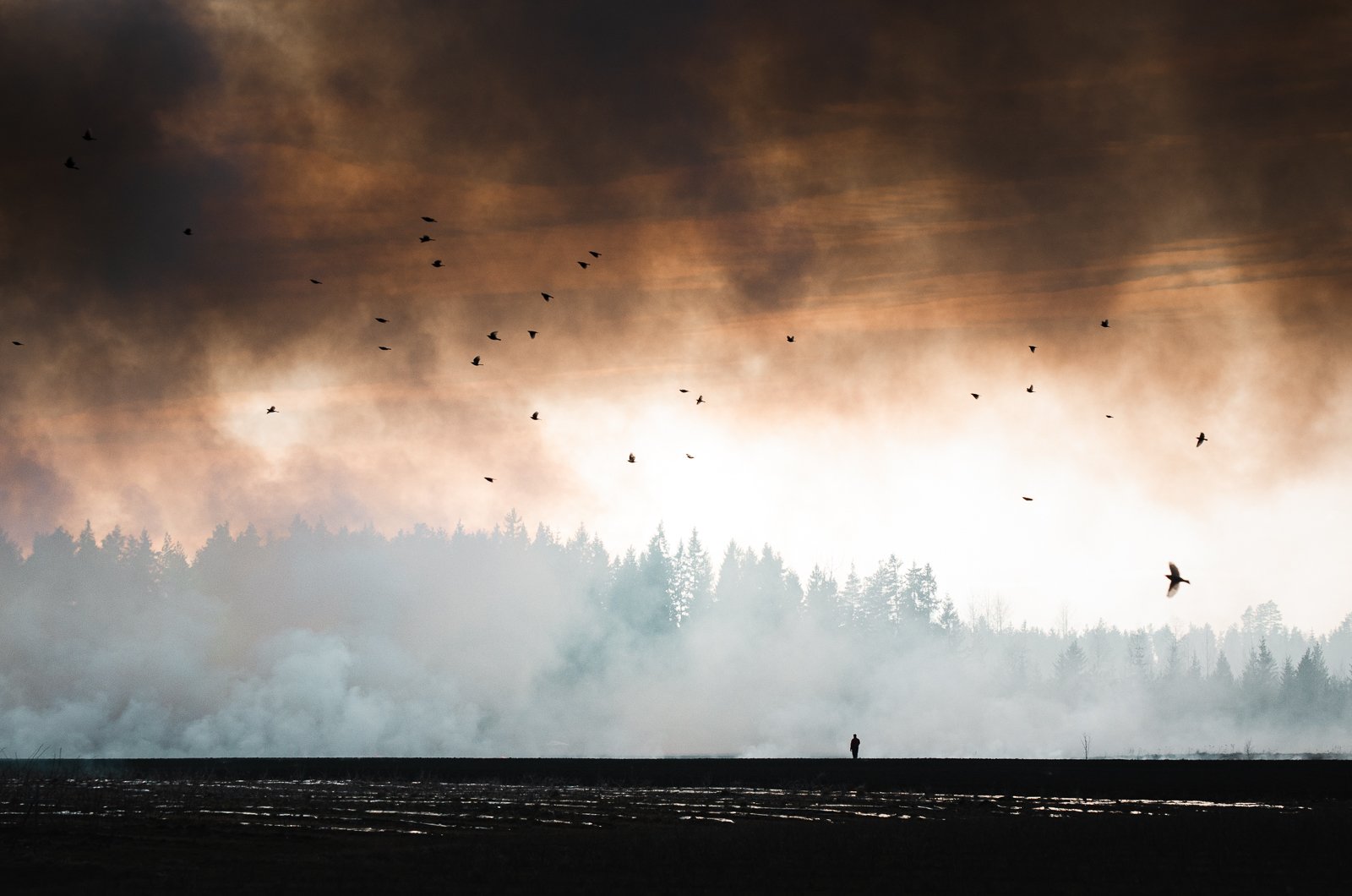 The Importance of a Beginner's Mind in Photography