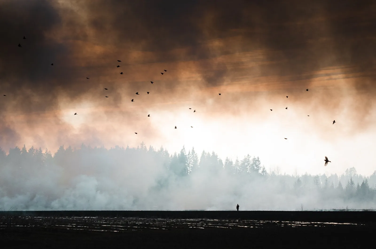 Mikko Lagerstedt – Still Standing – 2012, Finland