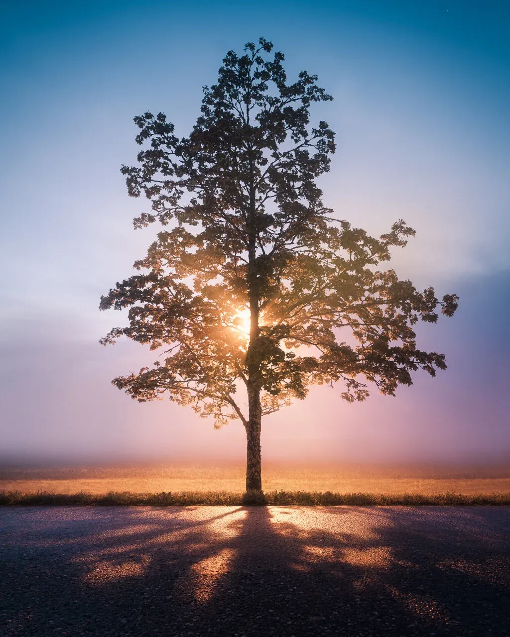 Why I haven't been photographing?