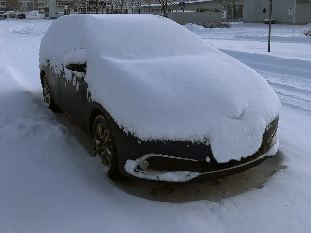 See what I did there? 😂 (hint: the plate)