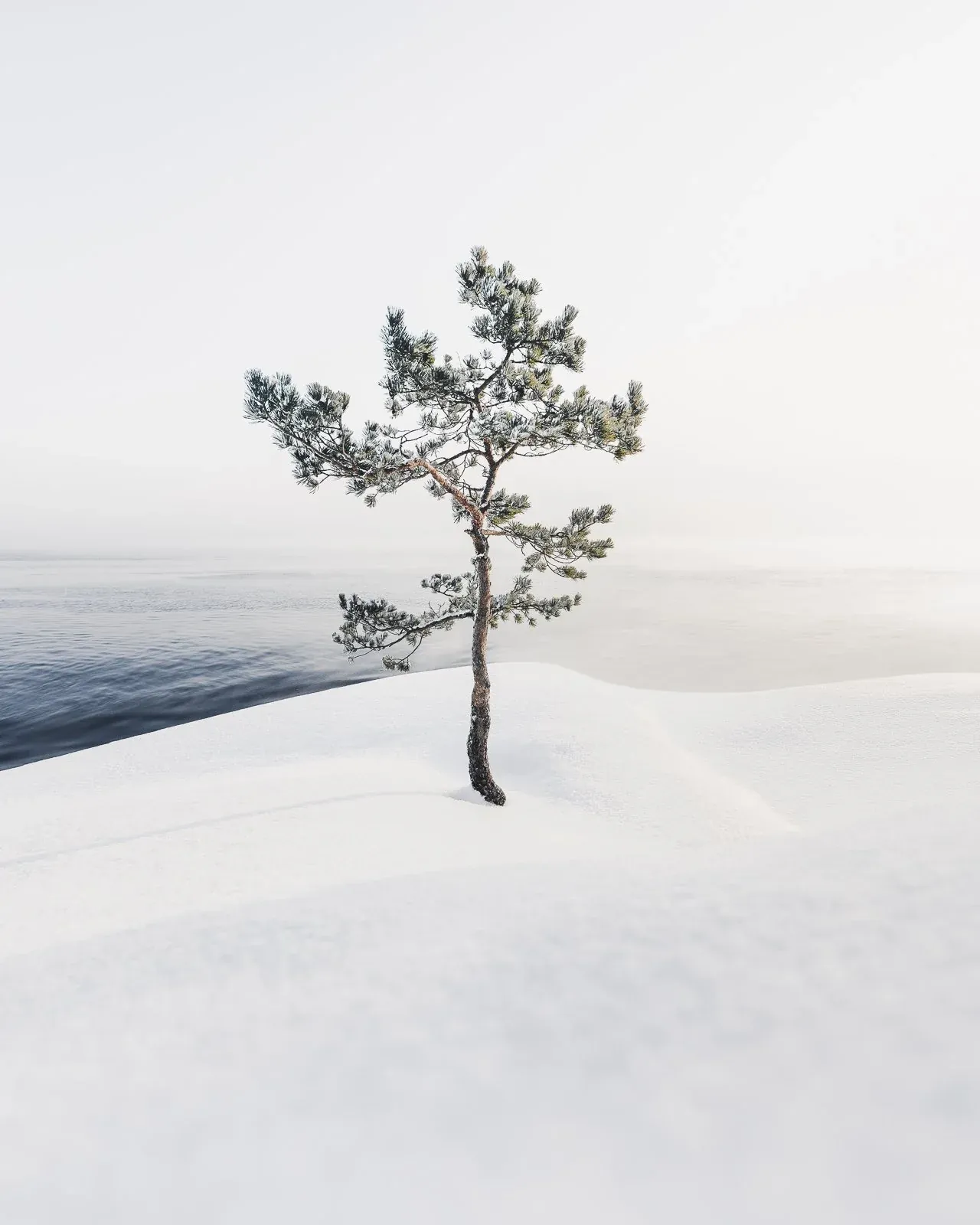Mikko Lagerstedt – Cold Mist – Porvoo, Finland 2021