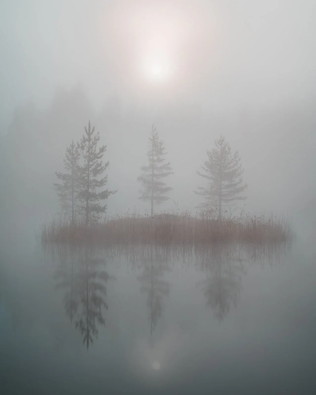 Mikko Lagerstedt – In the mist – Tuusula, Finland 2021